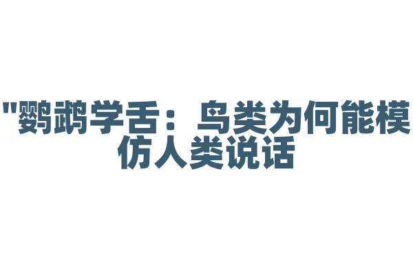 "鹦鹉学舌：鸟类为何能模仿人类说话？"